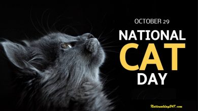 Happy National Cat Day Images