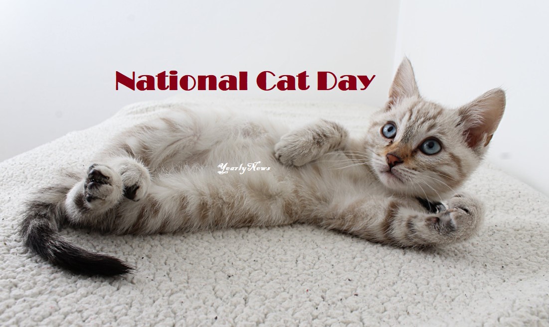 National Cat Day Images Download
