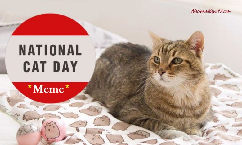 National Cat Day Funny Meme