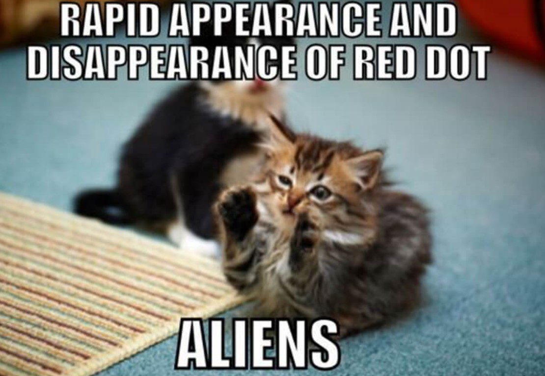 Happy National Cat Day Funny Memes Wishes